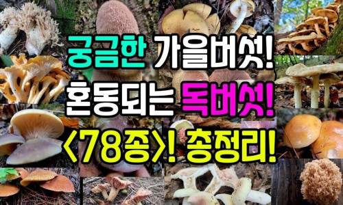 查黄疸需要做什么检查-黄疸病人查体网 - 黄疸体格检查怎么写,查黄疸需要做什么检查