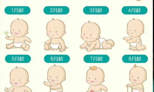 黄疸常规检查的意义-黄疸病人查体网 - 黄疸体格检查怎么写,查黄疸需要做什么检查
